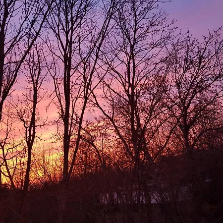 Eifelglueck Apartament